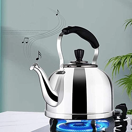 Stovetop Induction Whistling Kettle - 5L