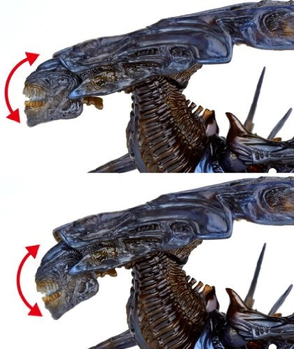 Revoltech Alien Queen - 22.4 cm (SG_B00457VY0E_US)