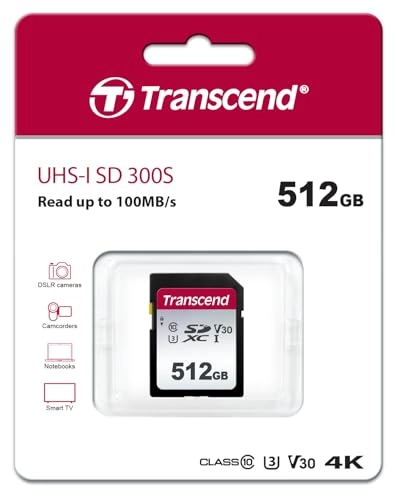 300S - 512GB