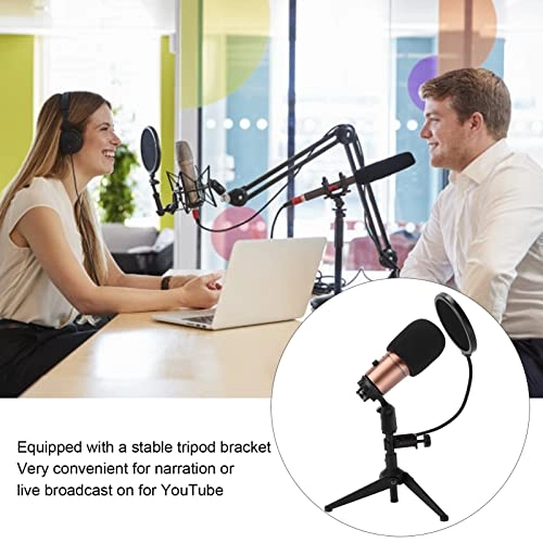 74747 USB Microphone