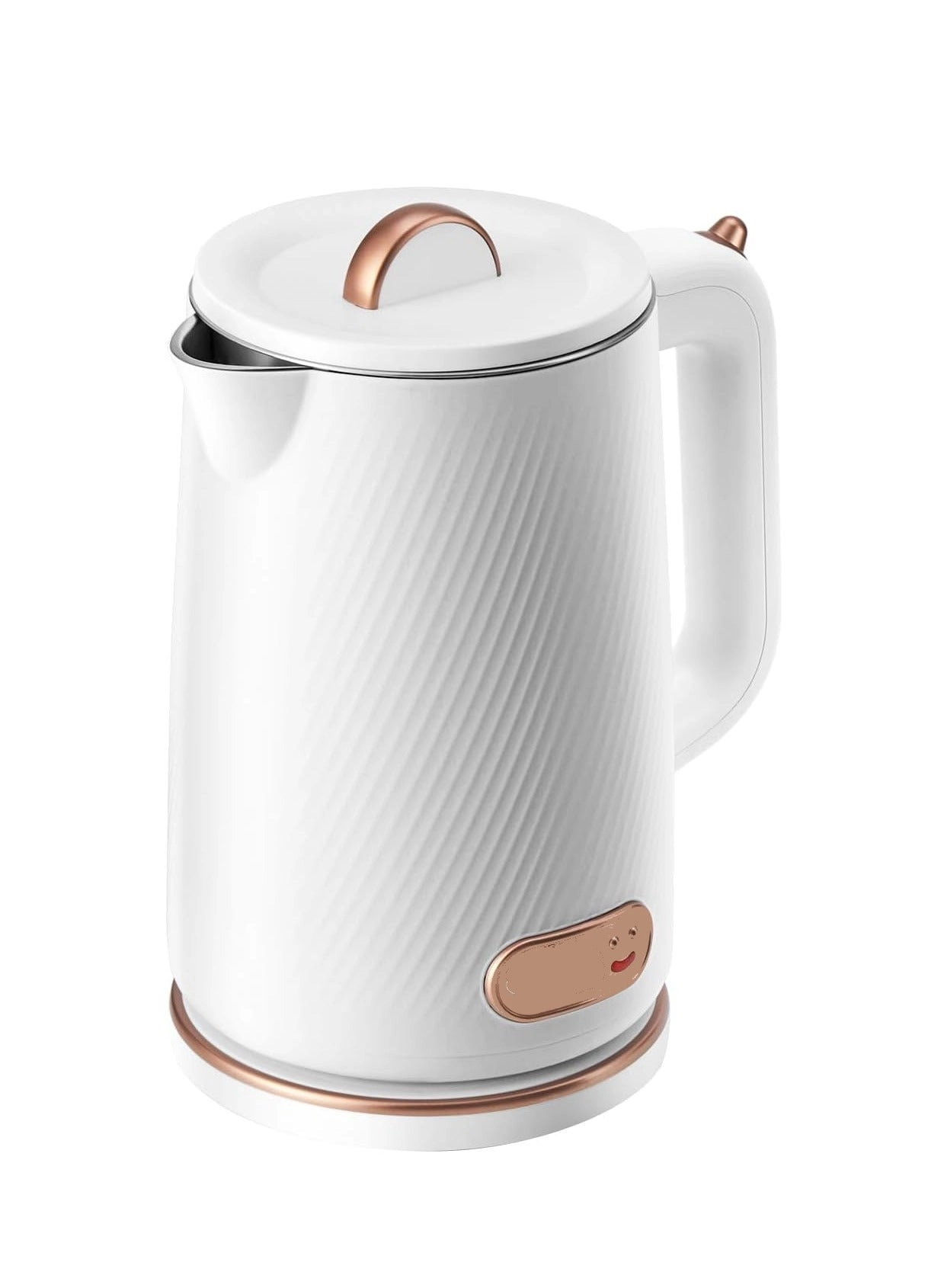 Stainless Steel Electric Kettle