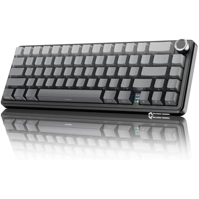 rayihni X66 - Wired/Wireless