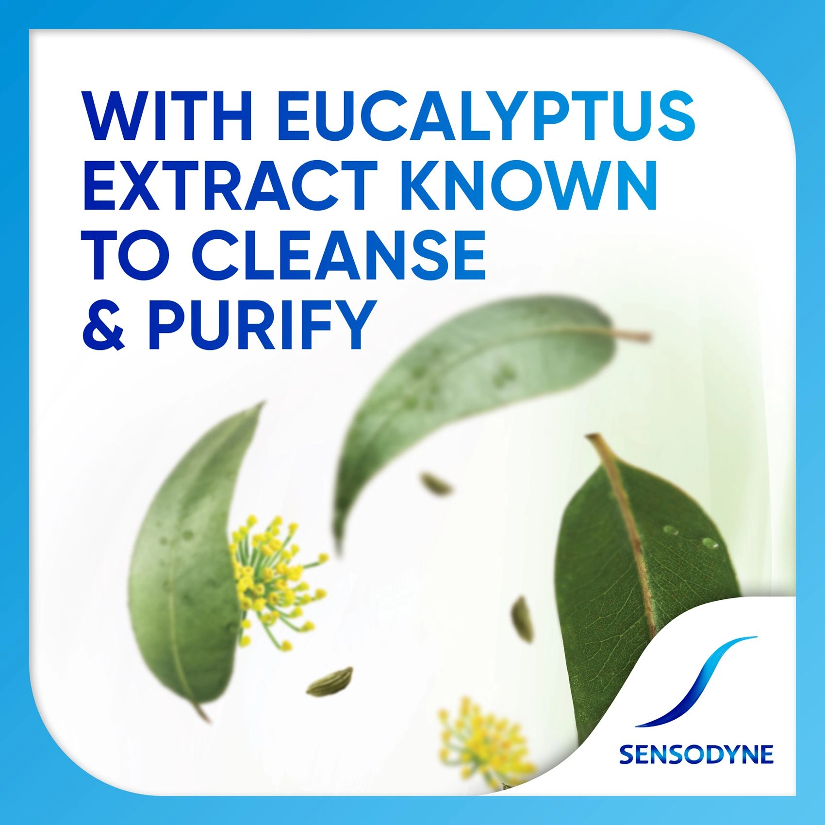 Herbal Eucalyptus Chamomile Toothpaste 100g