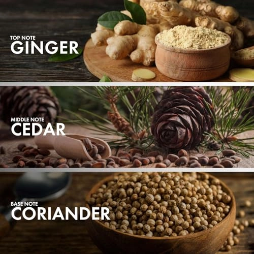WOODY GINGER Eau de Parfum 50 ml