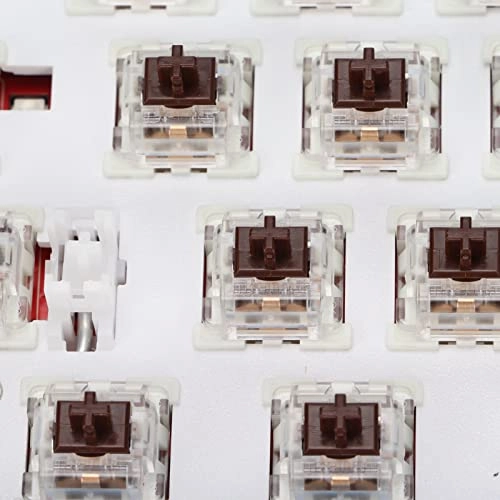 Mechanical Keyboard - US Wired/Wireless