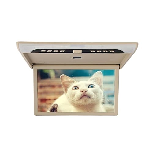 Car Ceiling Display - 19 Inch