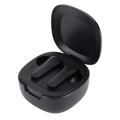 Translation Earphones