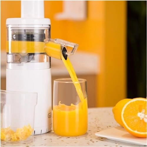 Portable Electric Juicer - Masticating Slow Auger Water-Free