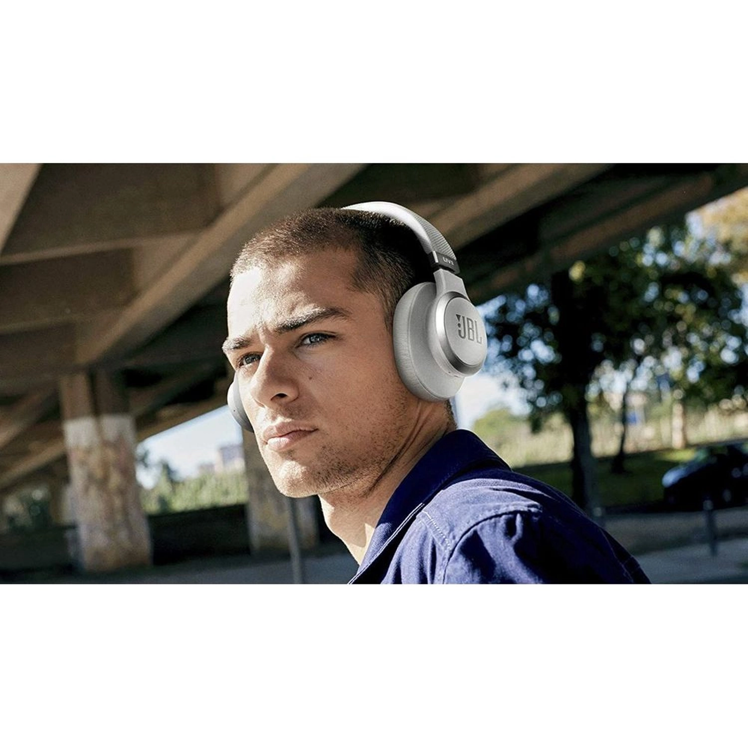 Live 660NC Wireless Headphone