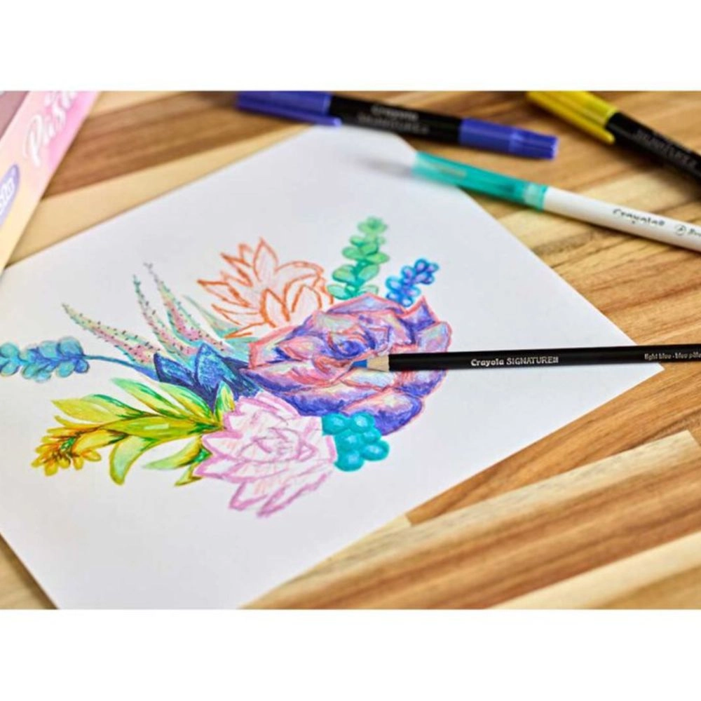 Pastel Artist Collection Kit - 12 colored pencils 9 brush-tip markers 5 pearlescent cream sticks