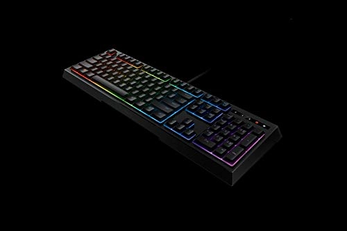 Ornata Chroma - EN Wired