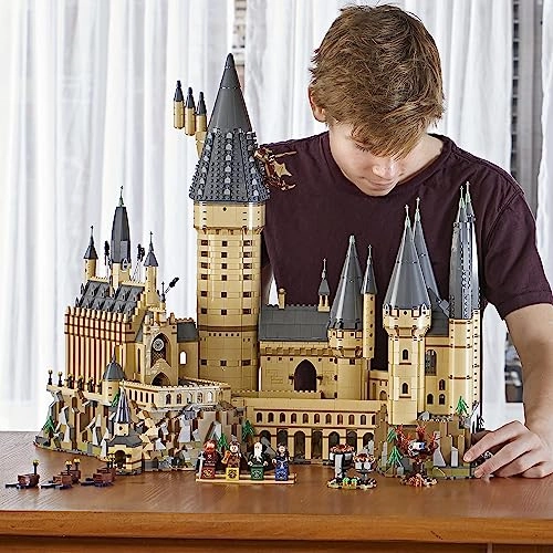 Harry Potter Hogwarts Castle (71043)