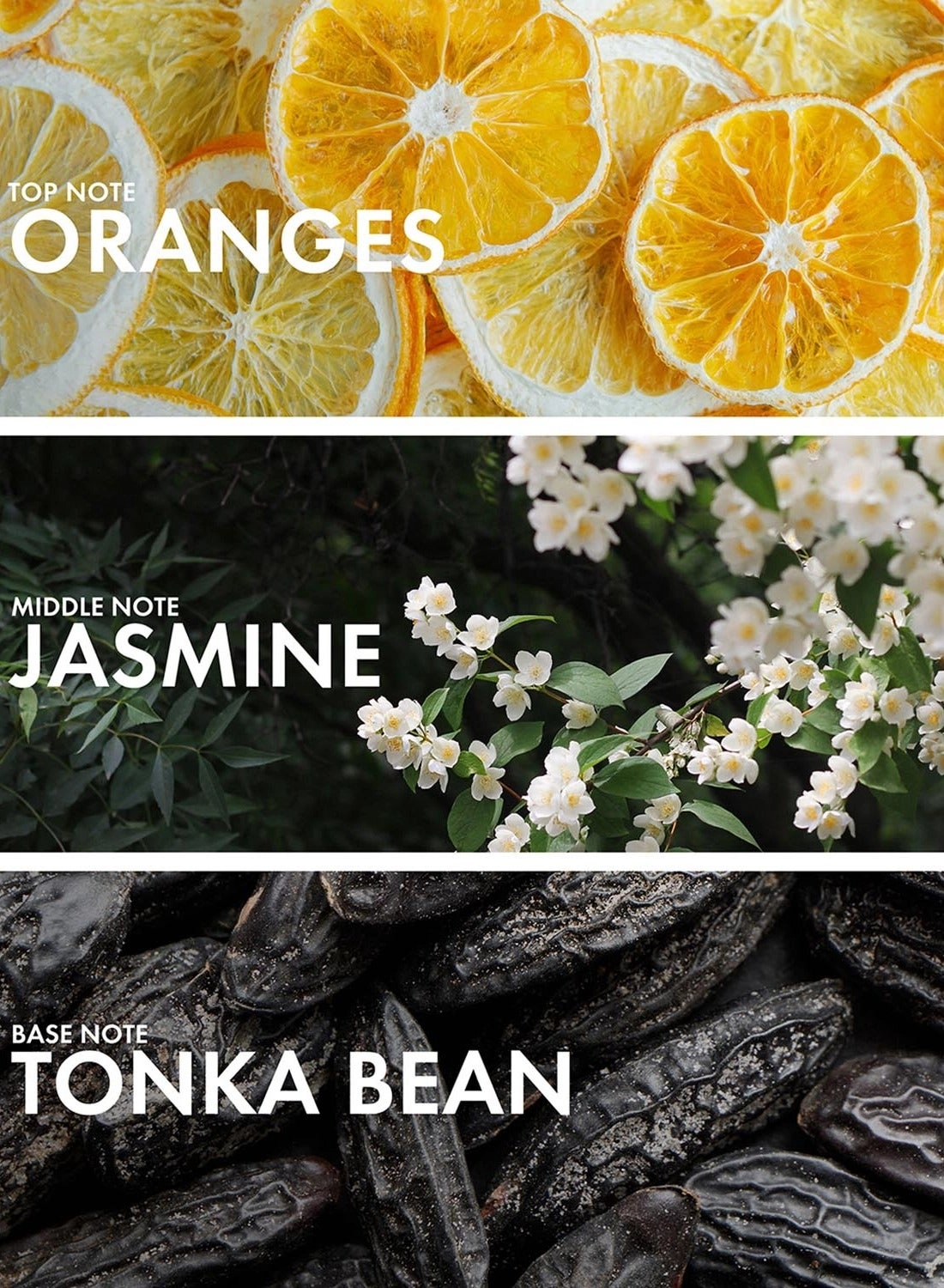 Oud Leather - Eau de Parfum 50ml