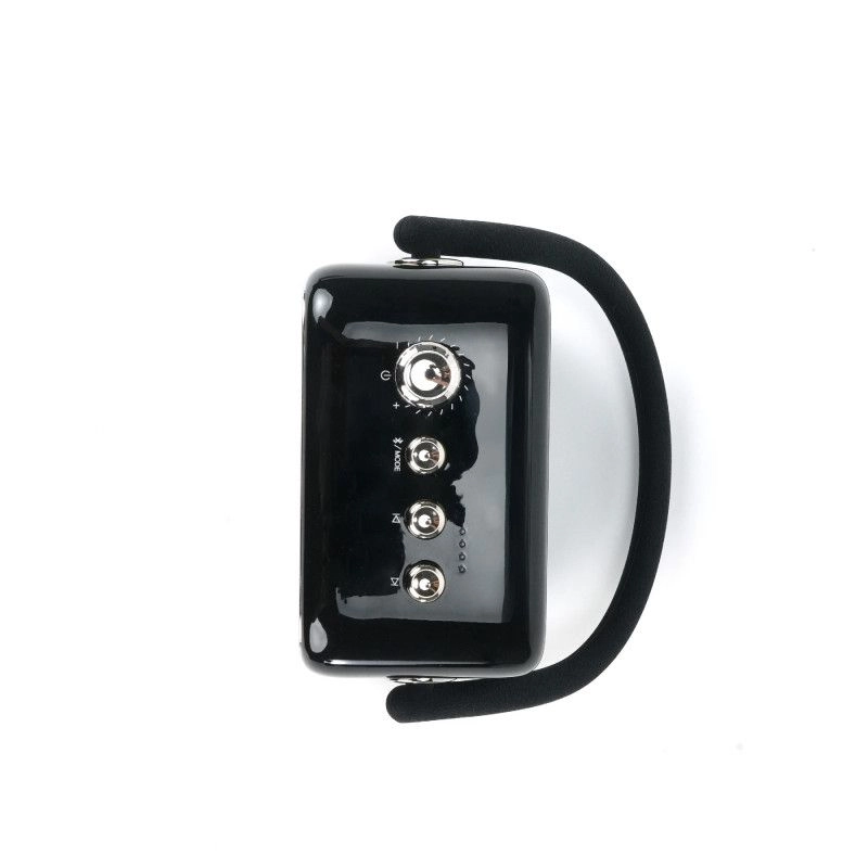 SongBird SE - Portable Dual Microphone Speaker