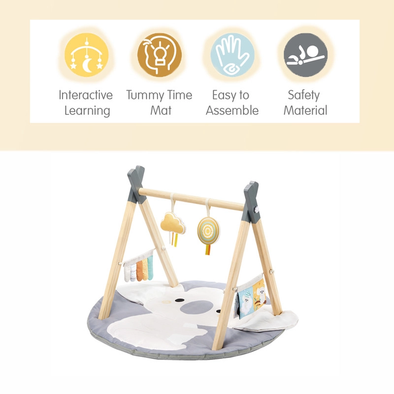 Nyra - Koala 0 month