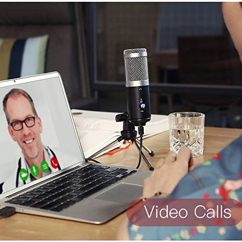 ss1/i48018 USB Microphone