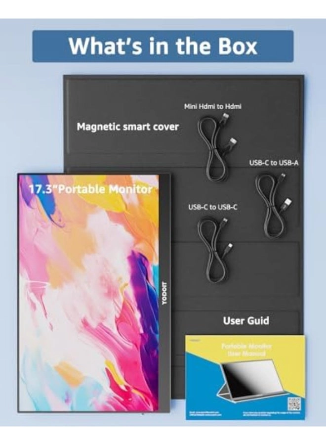 Portable Monitor - Full HD 17.3"