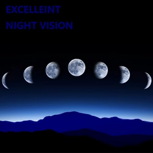 DLD01 - Night Vision RCA