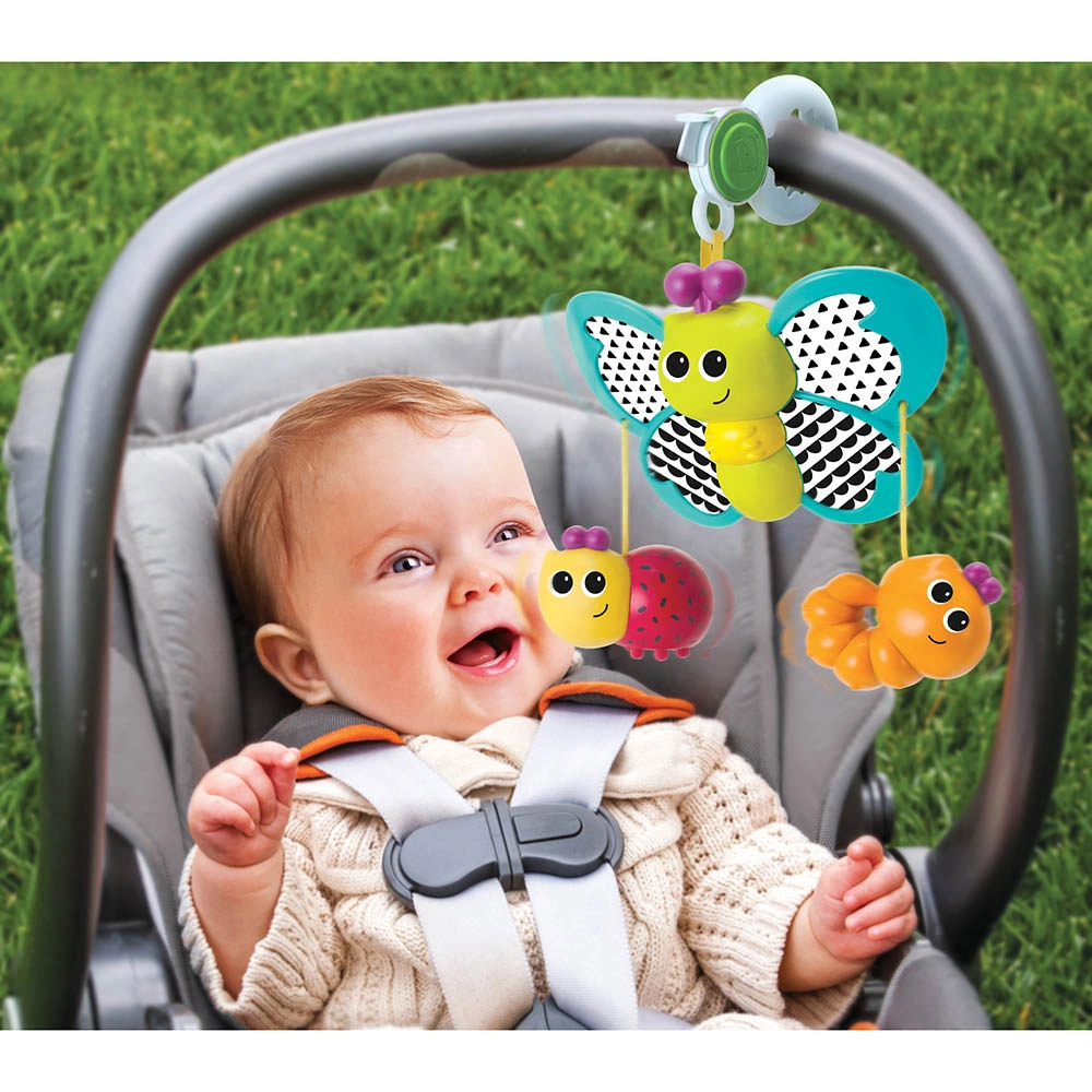 Dingle-Dangle Bug - 0 month