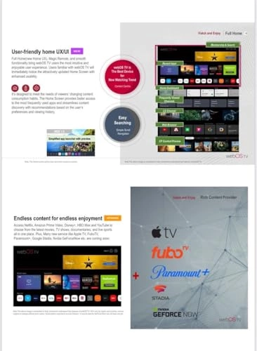 LT100QW524M - 100 Inches