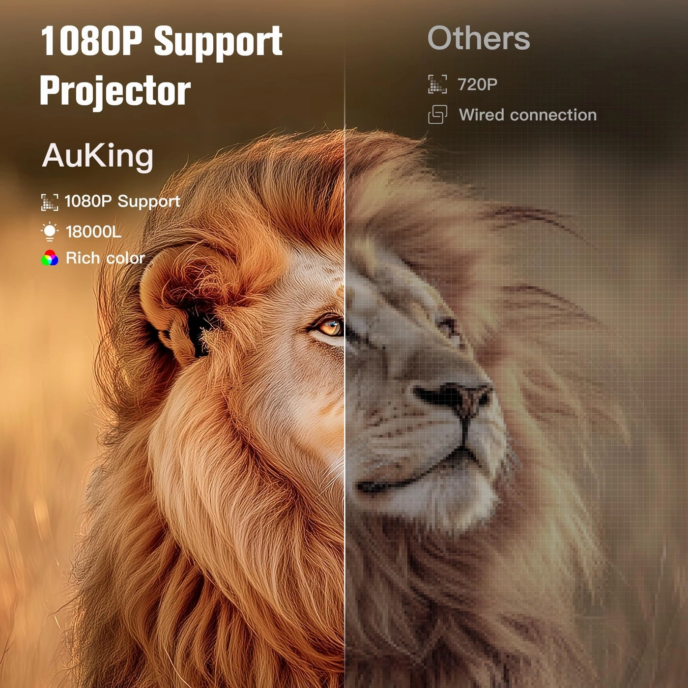 Projector - 3000 lumen 1920 x 1080