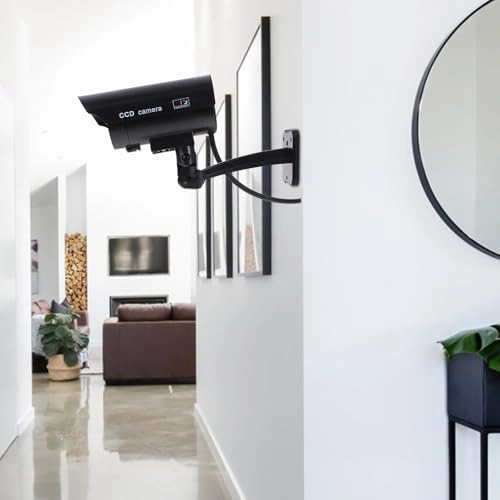 Fake Camera - Indoor Outdoor