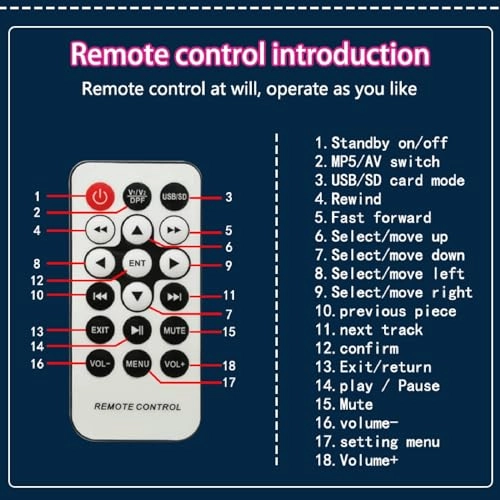 Car ceiling display - 19-Inch