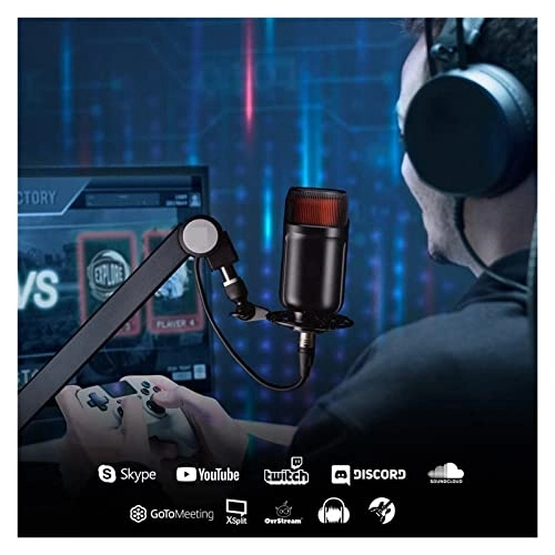 M5 Zone Masterpiece XLR Microphone