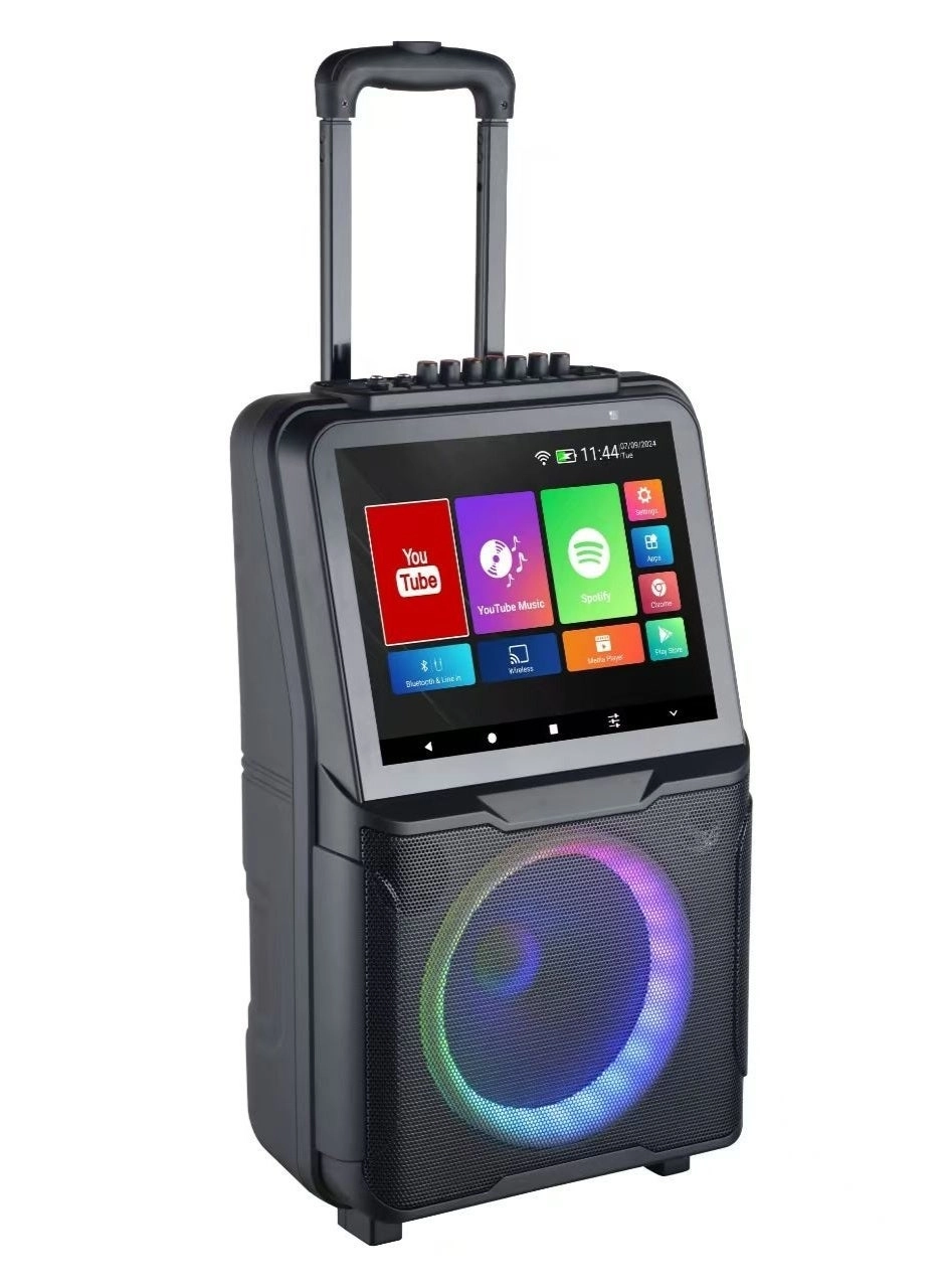 RAYMOS SA-8908 - Dual Wireless Microphones