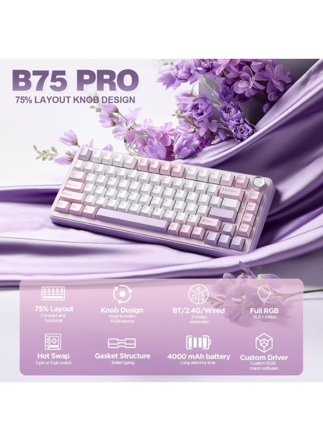 B75 PRO - 75% Wired/Wireless