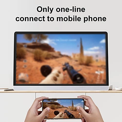 Portable Monitor - 1920x1080 16.1 Inches