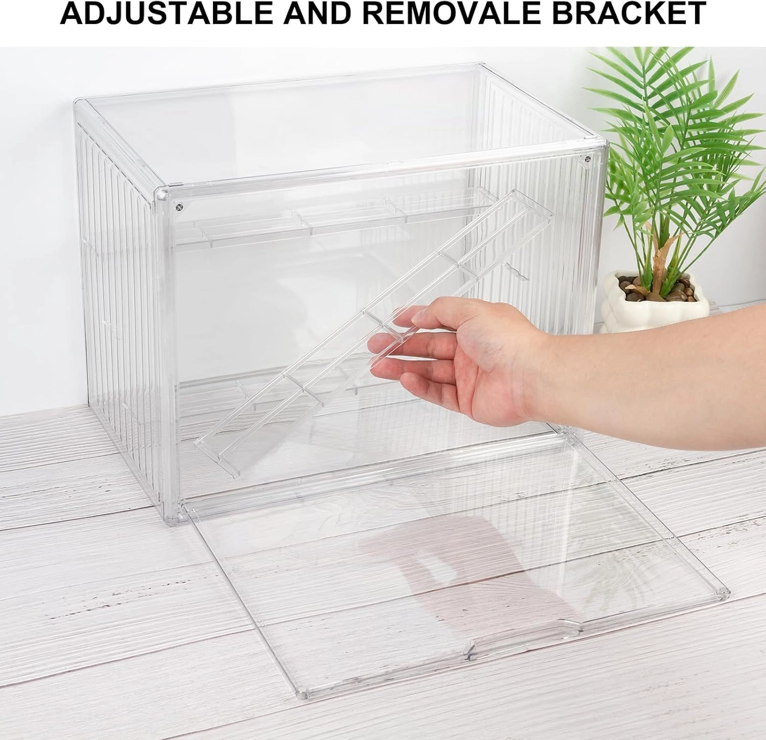 Display Case - 21.5H centimetres