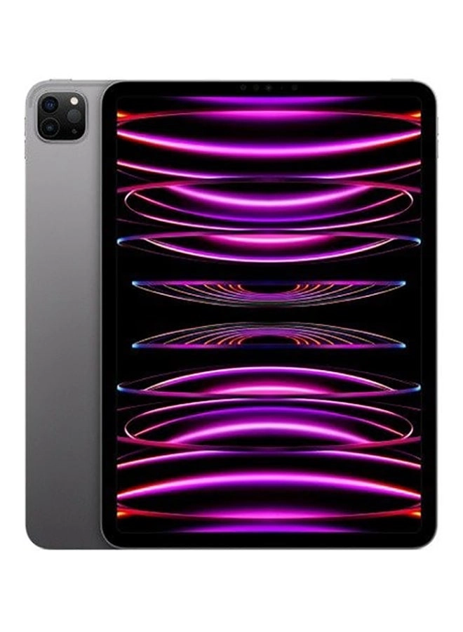 iPad Pro (2022) - 2048GB 11"