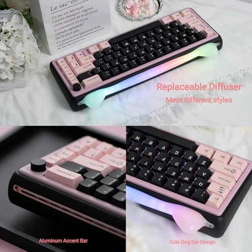 Foxy65 - 65% Wired/Wireless