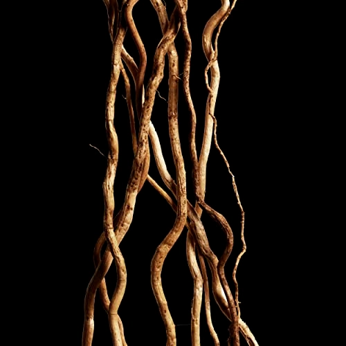 Cool Water Reborn Eau de Toilette 100ml