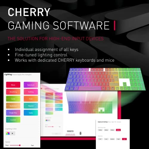 MX BOARD 3.0 S - QWERTY Wired