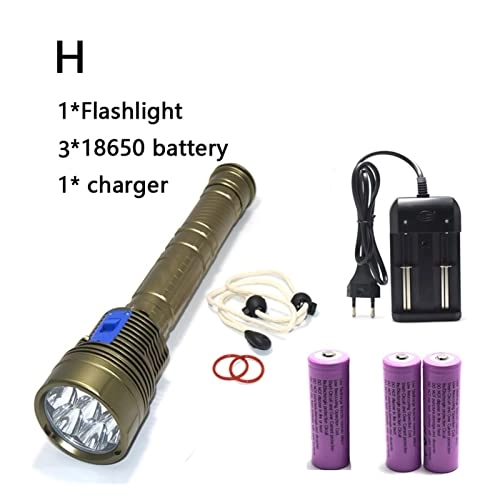 Professional Submersible Light
