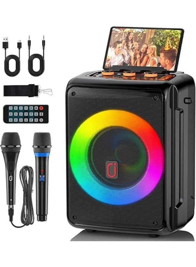 AE-D13 - 2 Microphones