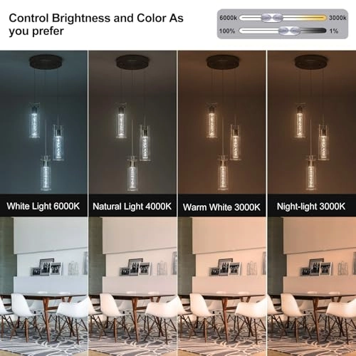 BW-01-3-BN24W - 3-Light 24W Dimmable