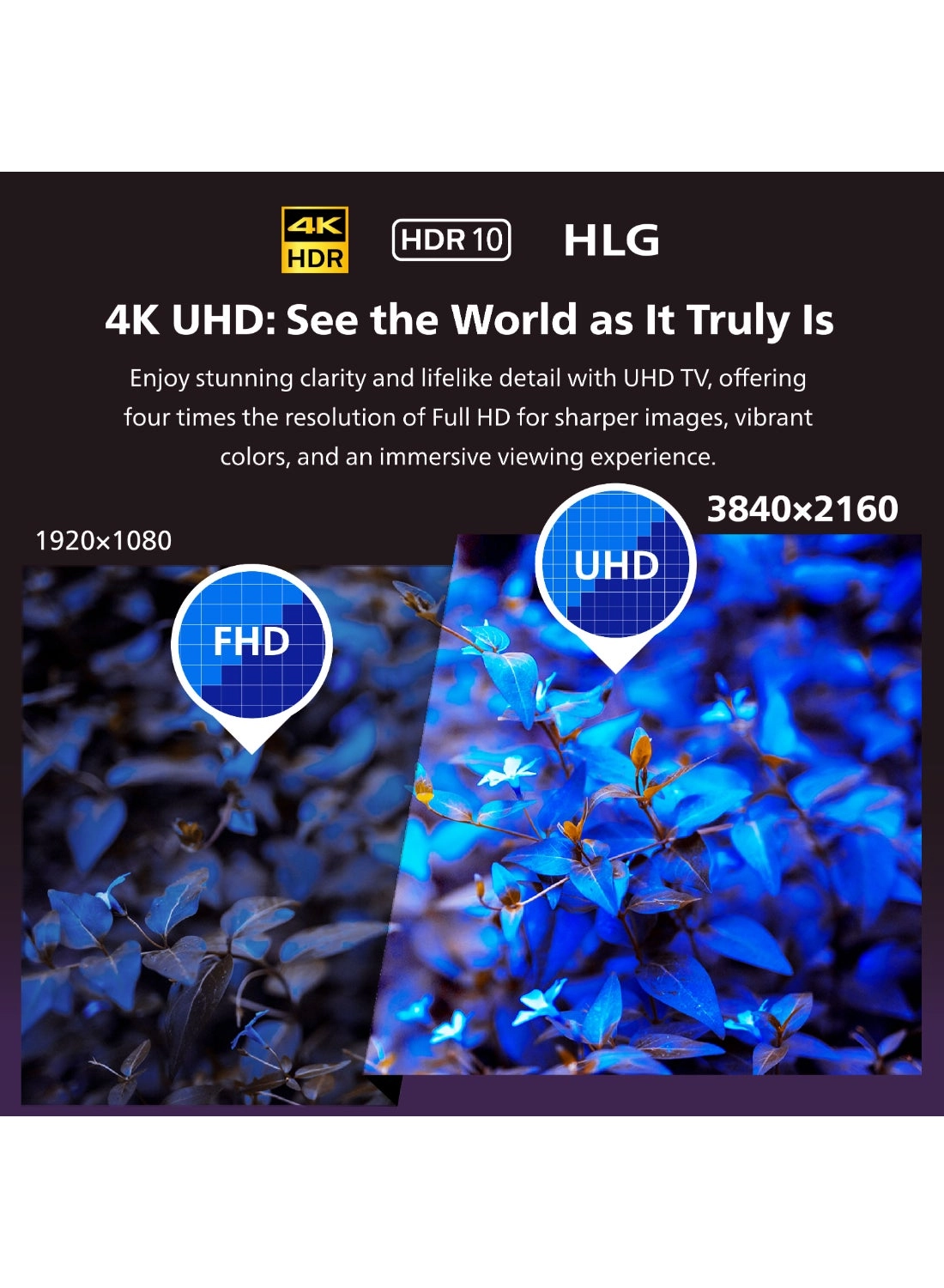 75PQT8169/56 - 75 Inch