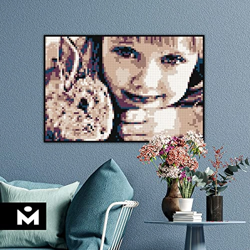 Color M - Landscape 10733 pieces