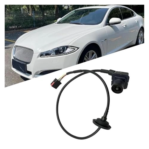 472728 - Night vision 720*540 pixels