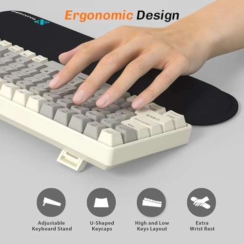 BK6302 - Wired/Wireless