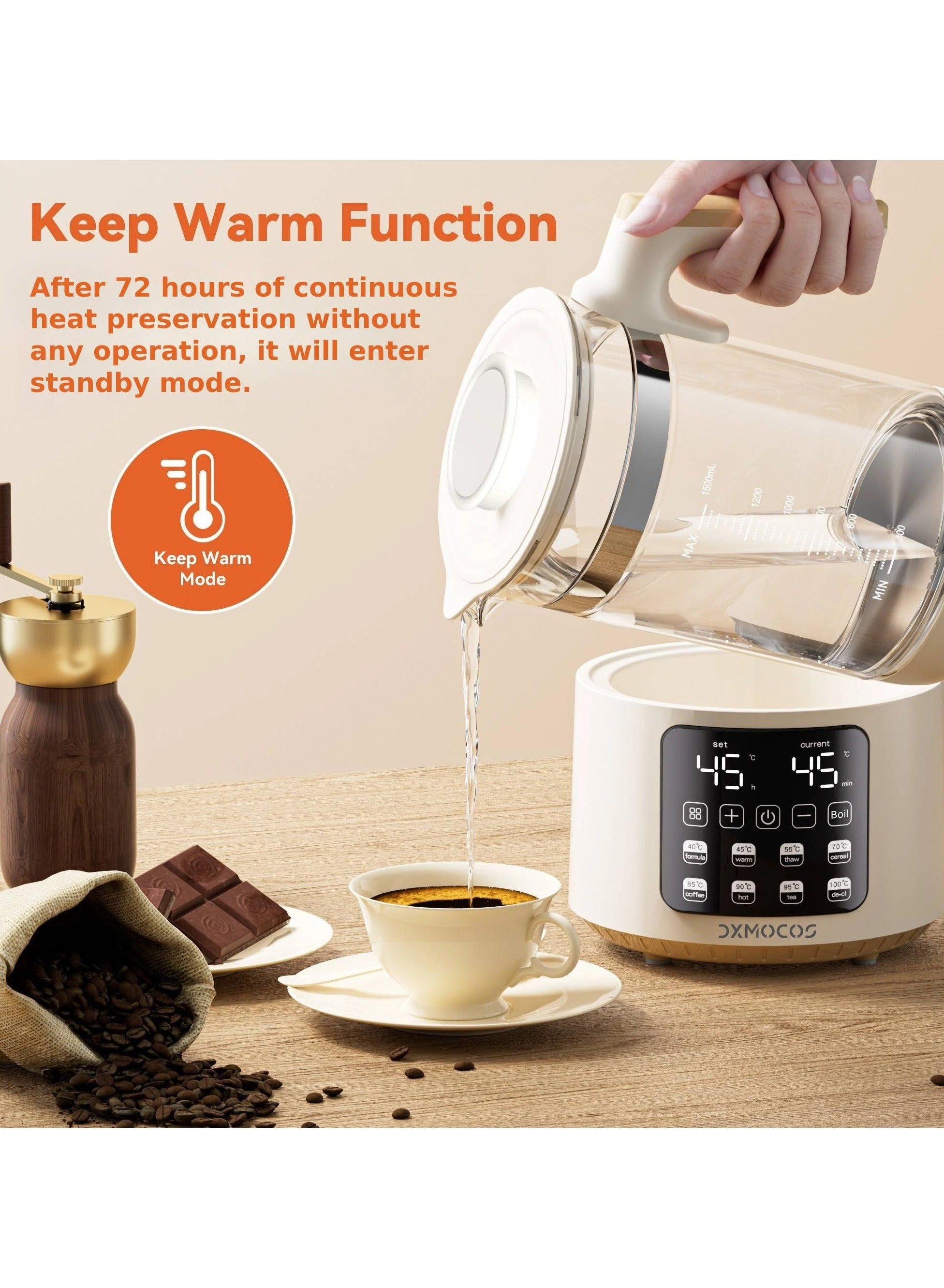 Temperature Control Electric Kettle