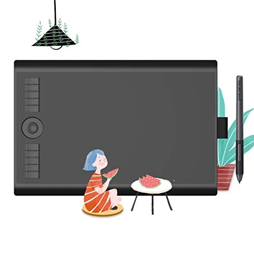 M10K2018 - 10x6 Inch 8192 Levels