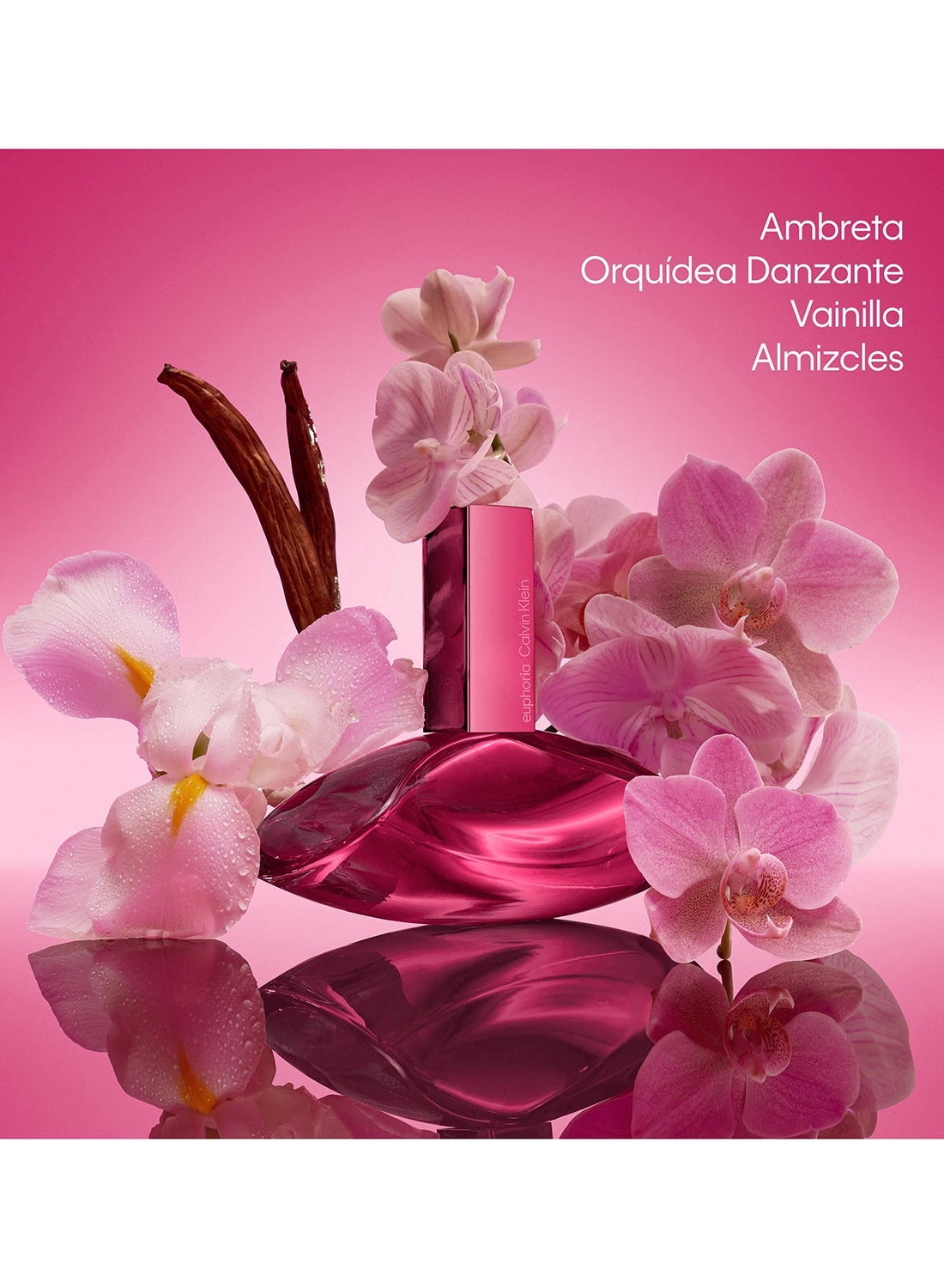 Euphoria Magnetic Elixir Eau de Parfum - 50ml