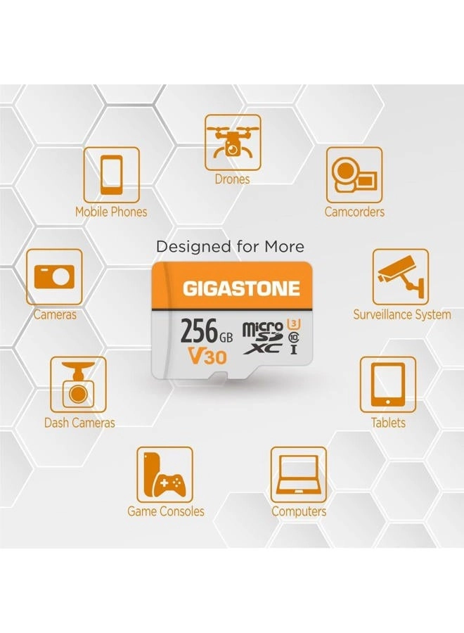 MicroSDXC Memory Card - 256GB + SD Adapter