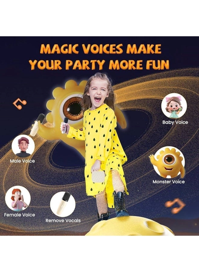 G23 - 2 Wireless Mic