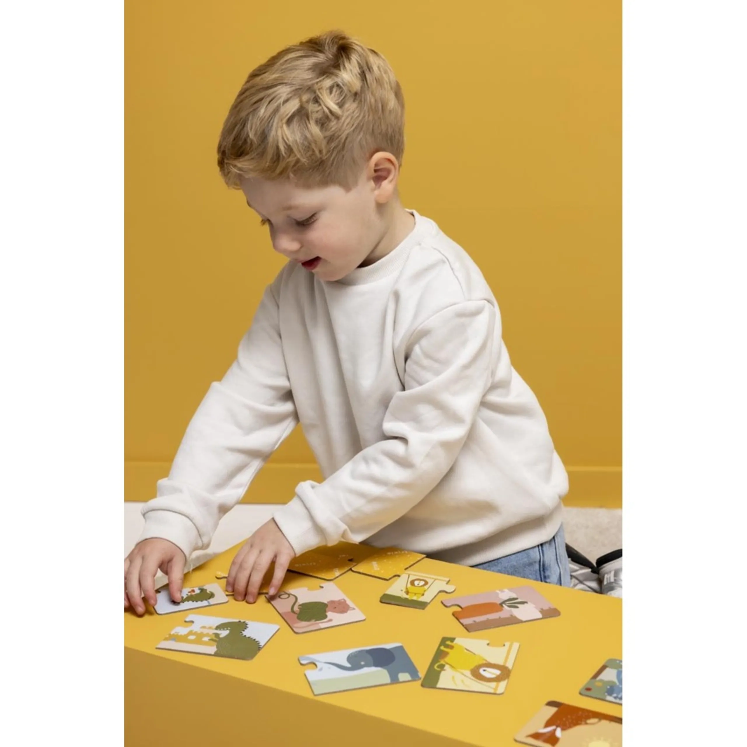 Puzzle Box - Matching Animals 20 Pc Set