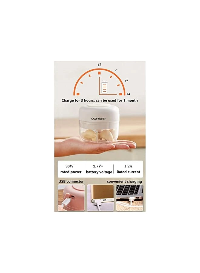Mini Food Chopper and Processor - 250ml + 100ml Rechargeable
